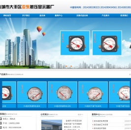 盐城市大丰区亚东差压显示器厂