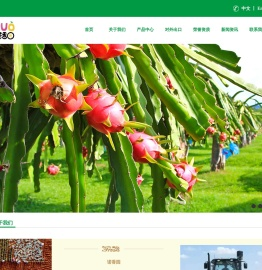 徐闻县诺香园农产品专业合作社