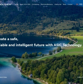 盛景微电子(盛景微)