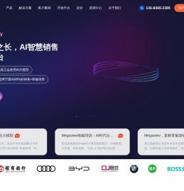 深维智信Megaview