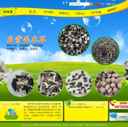 漳州市鸿云农副产品有限公司