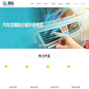 深圳博柯安电机有限公司