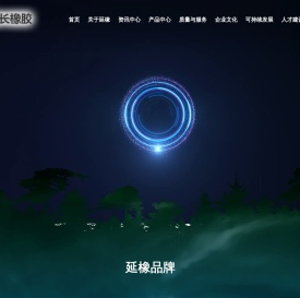 陕西延长石油集团橡胶有限公司