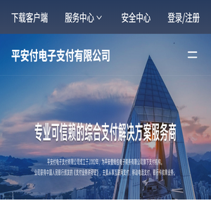 平安付科技服务有限公司
