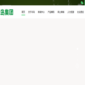 丰岛控股集团