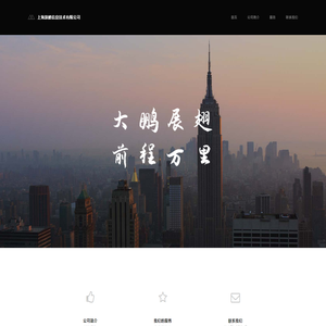 上海浪鹏信息技术有限公司