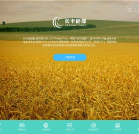长丰能源（股票代码CFY）
