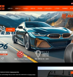 正新橡胶（中国）有限公司