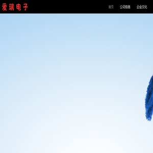 爱瑞电子