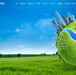 山东盛发焦化有限公司