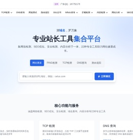 在线Ping/TCP/DNS检测