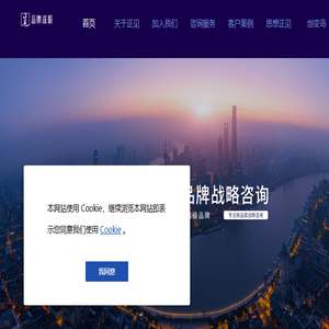正见品牌战略
