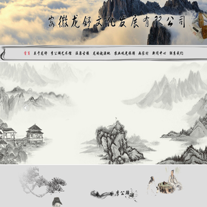 安徽龙舒文化传媒发展有限公司