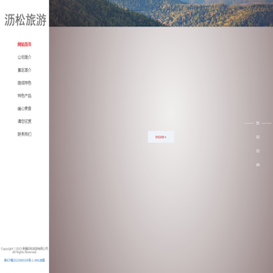 新疆沥松旅游有限公司