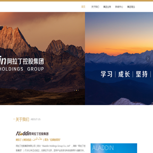 阿拉丁控股集团有限公司