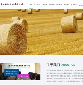 四川莱达检测技术有限公司