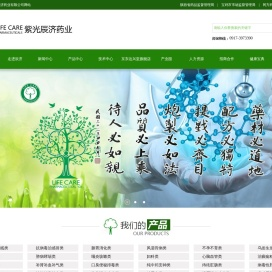 陕西紫光辰济药业有限公司