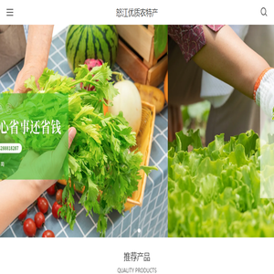 蔬菜种植
