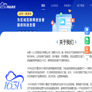 163K网站系统