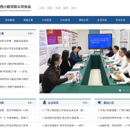 广西小额贷款协会公司
