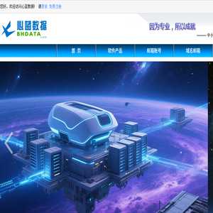 软件开发