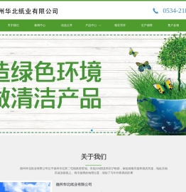 静电复印纸,高档防粘原纸,打印纸,新闻纸,书写纸,轻型纸