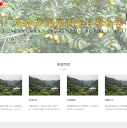 广东金龙洞泉酒业有限公司