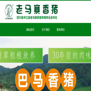 巴马香猪
