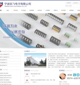 宁波凯飞电子