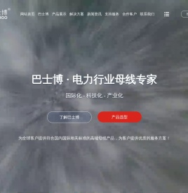 武汉巴士博技术有限公司