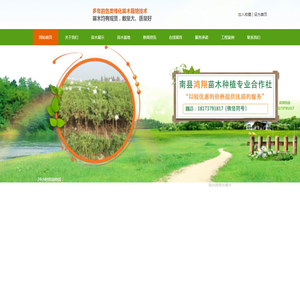 南县鸿翔苗木种植专业合作社