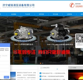 变量柱塞泵,轴向柱塞泵,串联柱塞泵,三联柱塞泵生产厂家