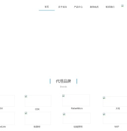 深圳市深兴科技发展有限公司