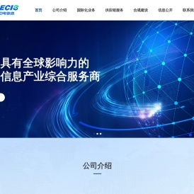 中国中电国际信息服务有限公司