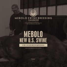 浙江美保龙种猪育种有限公司