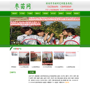 蟠枣苗,冬枣苗,蟠枣2代,芒果枣,大枣王,葫芦枣,苶壶枣,磨盘枣,龙须枣树,冬枣2代,大枣树,枣树苗,冬枣3代,枣树嫁接苗,新郑市枣树研究所专业生产