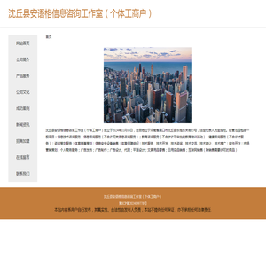 信息技术咨询服务