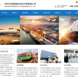 深圳市蓝星国际货运代理有限公司