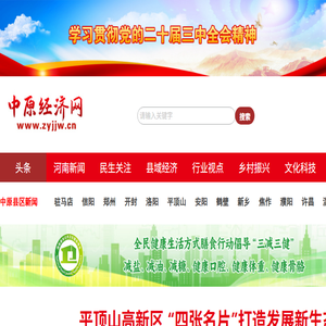 中原经济网