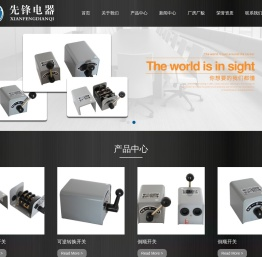 靖江市先锋电器有限公司