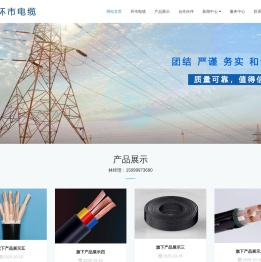环市电缆