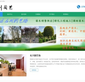 成都园林绿化苗木批发