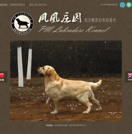 凤凰庄园拉布拉多犬舍