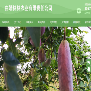 八月瓜种植