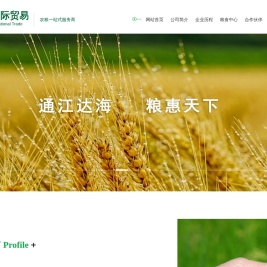 江苏通梁国际贸易有限公司