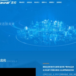 宁波志伦电子有限公司