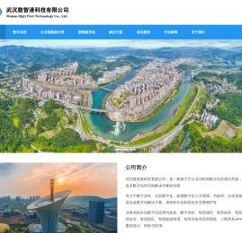 武汉数智港科技有限公司