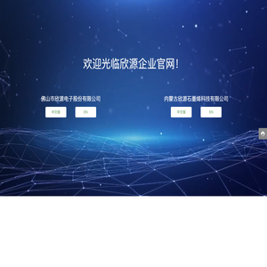 佛山市欣源电子股份有限公司