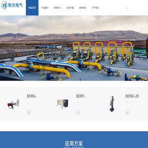 沈阳新光电气制造有限公司