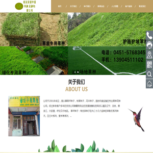 哈尔滨哪卖花种,哈尔滨哪卖花籽,哈尔滨草种